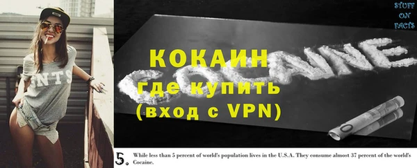прущие грибы Магадан