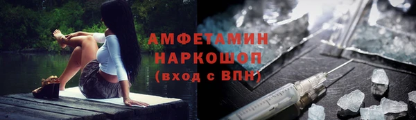 индика Няндома