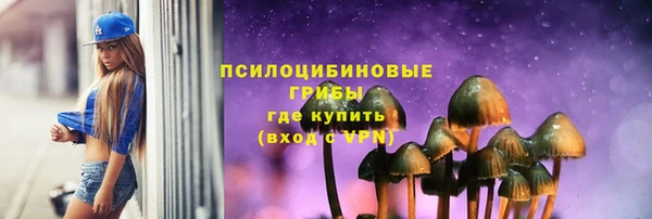 mdpv Каменка