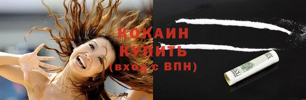 mdpv Каменка