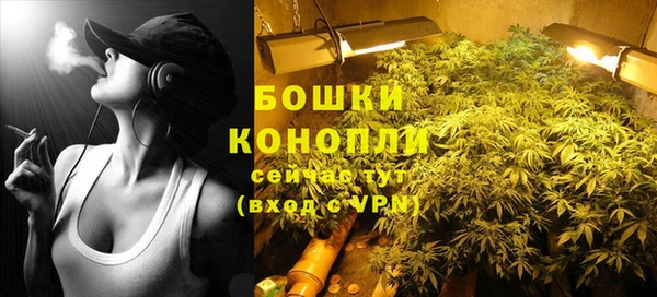 mdpv Каменка