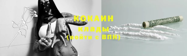 прущие грибы Каменск-Шахтинский