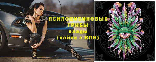 альфа пвп Каменногорск