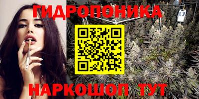 индика Волгодонск