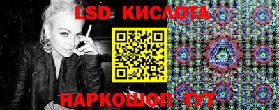 прущие грибы Волжск
