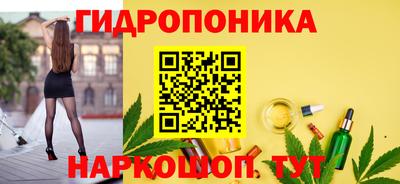 прущие грибы Волжск