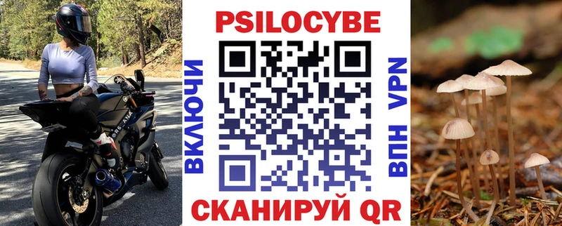 Псилоцибиновые грибы GOLDEN TEACHER  Кизилюрт 