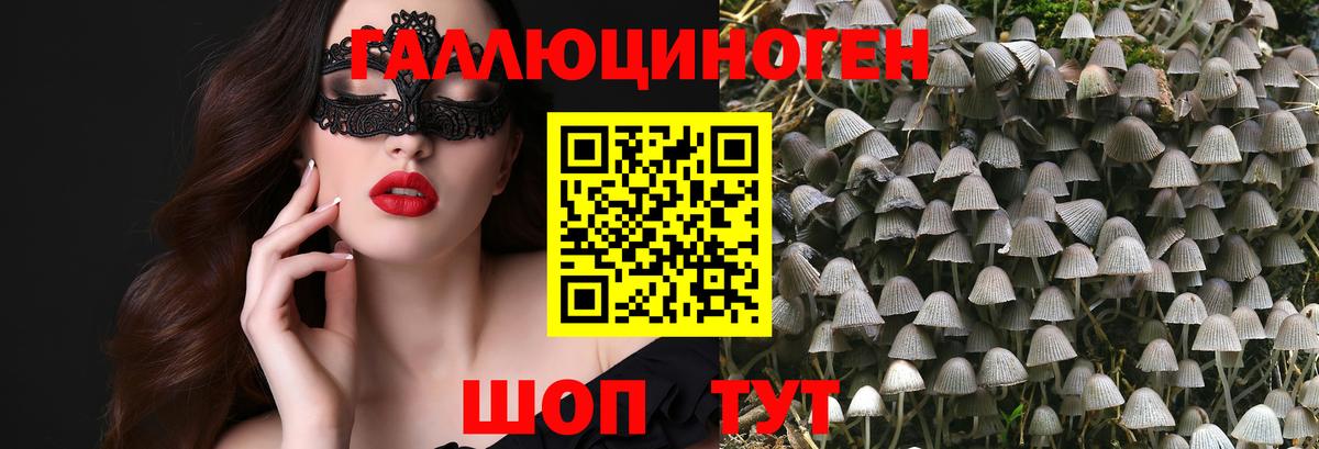 Галлюциногенные грибы GOLDEN TEACHER  купить  сайты  Кизилюрт  Вход с VPN 